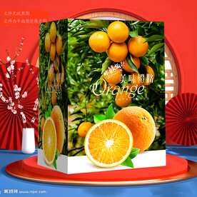 橙子包装 脐橙礼盒