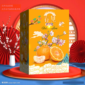 耙耙柑包装 春见礼盒