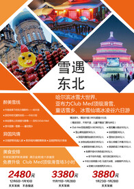 东北冰城雪乡旅游海报展板图片