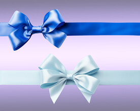 单层免抠透明丝绸蝴蝶结