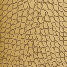 金色鳄鱼皮皮革纹理