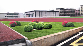 学校绿化改造效果图