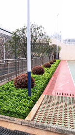 厂区绿化改造效果图