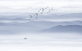 蓝色大气水墨山水画背景墙