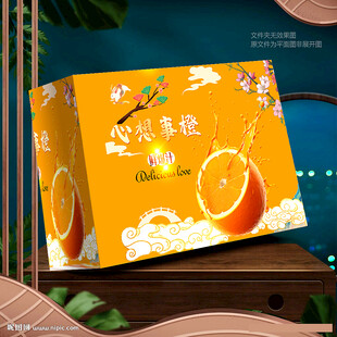 心想事橙包装