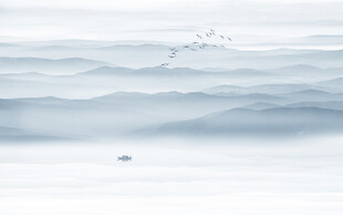 意境f山水风景图