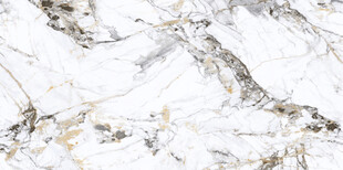 高清鱼肚金大理石