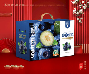 蓝莓包装 水果礼盒