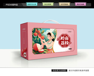 荔枝礼盒 妃子笑包装