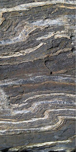 纹理独特的岩石表面