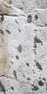 斑驳石纹墙面纹理特写