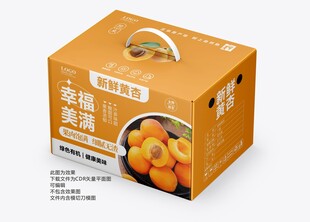 杏子手提礼盒包装