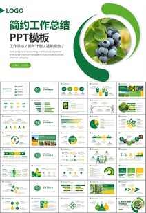 绿色农业产业总结计划ppt模板