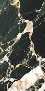 奢华黑金色大理石纹理