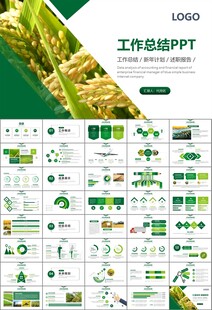 水稻农田农业种植大米PPT模板