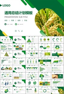 水稻农田农业种植大米PPT模板