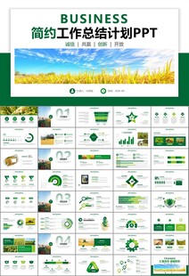 水稻农田农业种植大米PPT模板