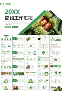 营养美食美味板栗种植宣传PPT