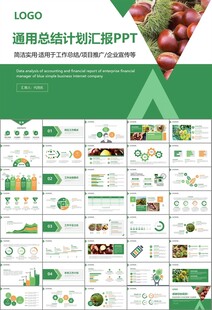 营养美食美味板栗种植宣传PPT