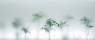 雾气磨砂膜效果绿植贴图