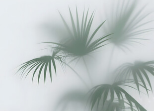 雾气磨砂膜效果绿植贴图