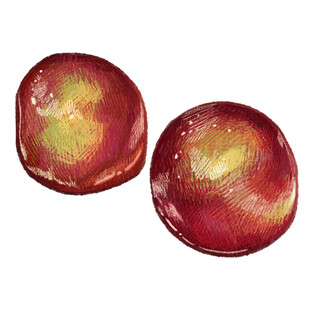 两颗水彩风的红果子