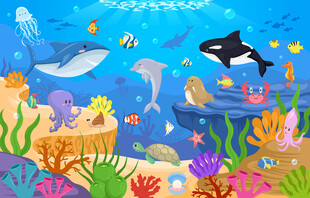 卡通海豚鲸鱼海底动物珊瑚背景墙