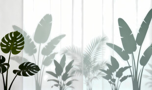 雾气磨砂膜效果绿植贴图