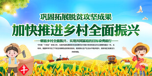 乡村振兴宣传展板