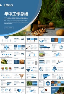 精美核桃种植产业总结计划ppt
