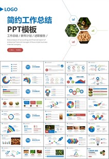 精美核桃种植产业总结计划ppt