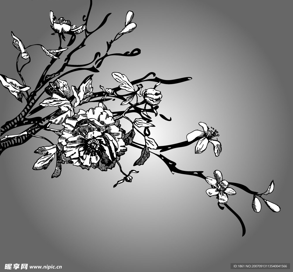 时尚花纹