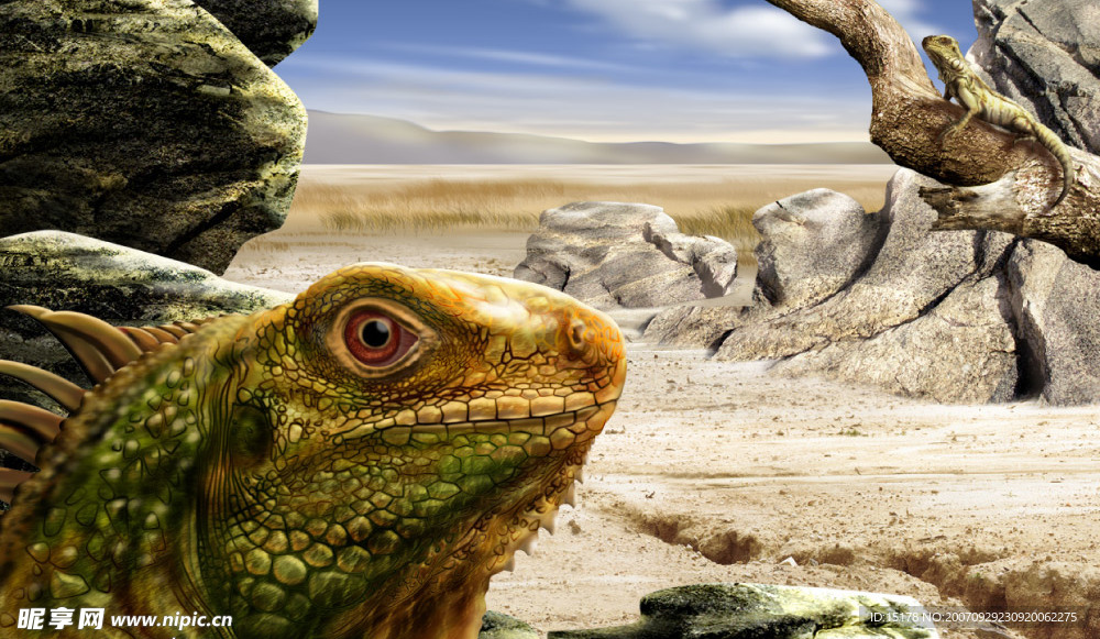 大自然中的蜥蜴psd分层素材