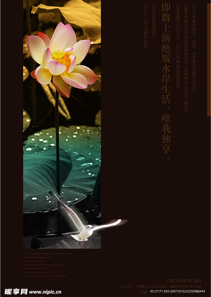 超清PSD分层素材