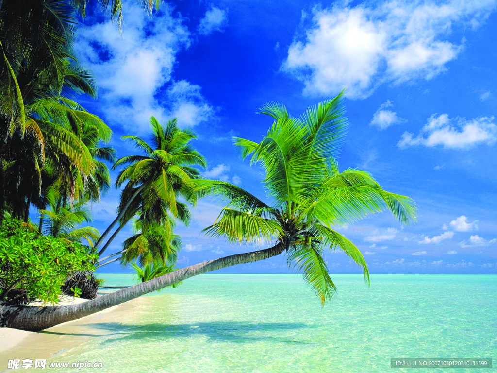 海边的漂亮风景