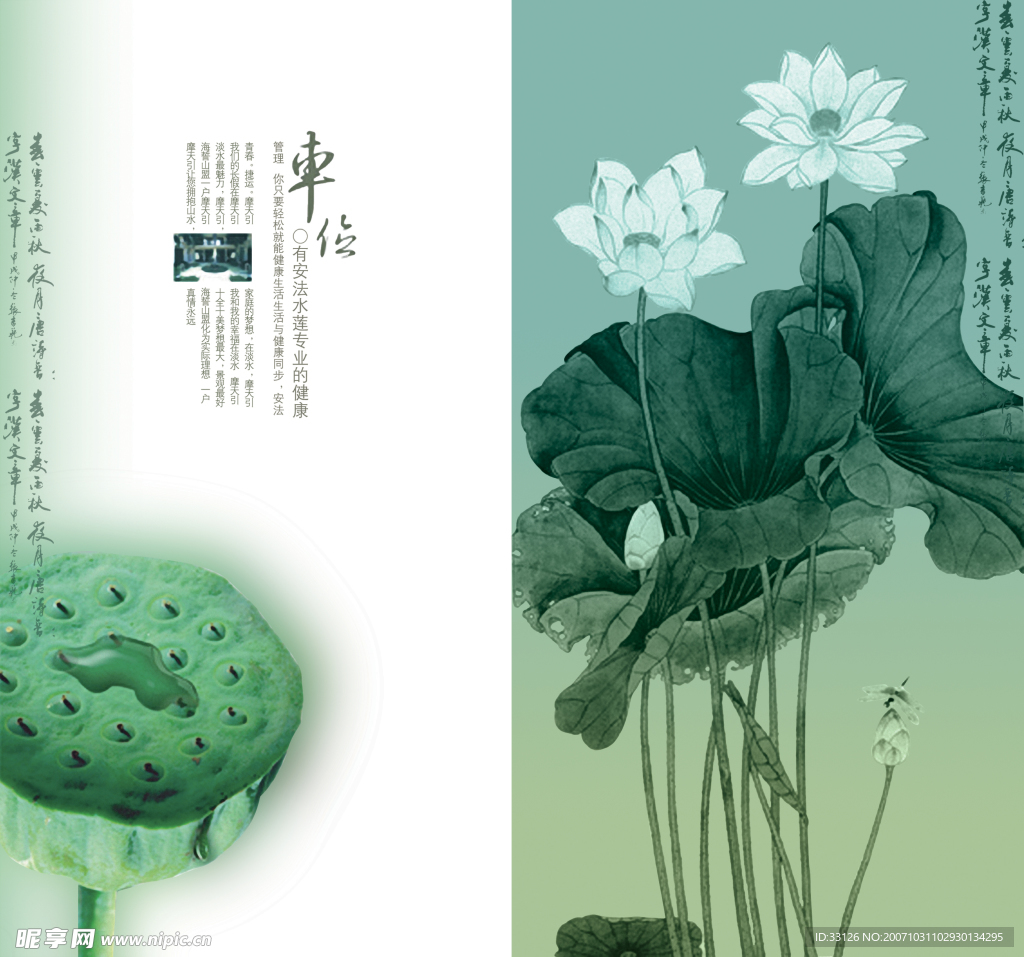 中国风画册