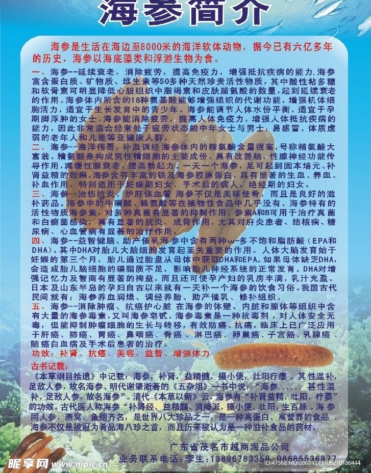 海参宣传单张