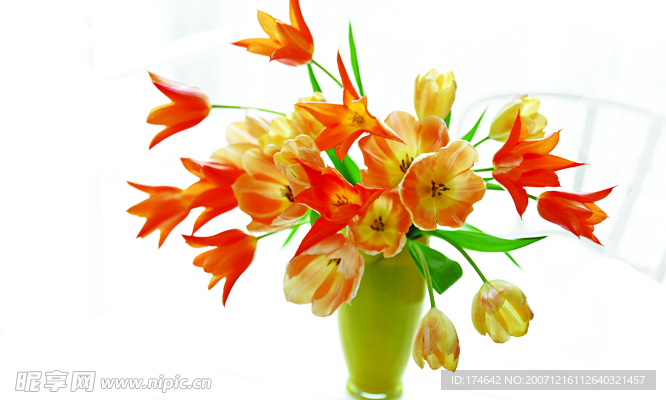 百合花