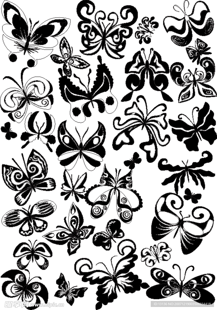 蝴蝶与花朵美丽花纹