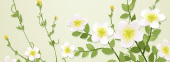 2008最新花纹矢量图