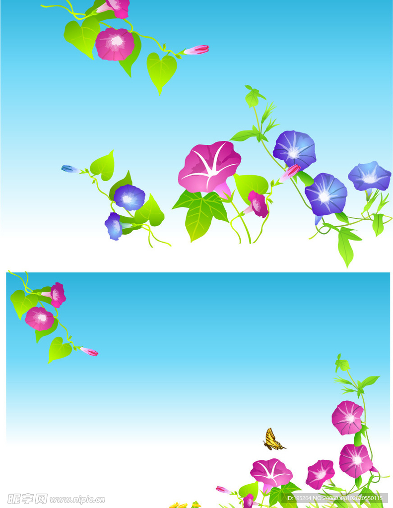 2008最新潮流花纹矢量图_牵牛花