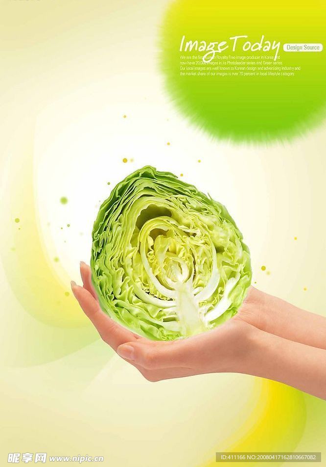 高清晰[包菜心]分层PSD(源文件)