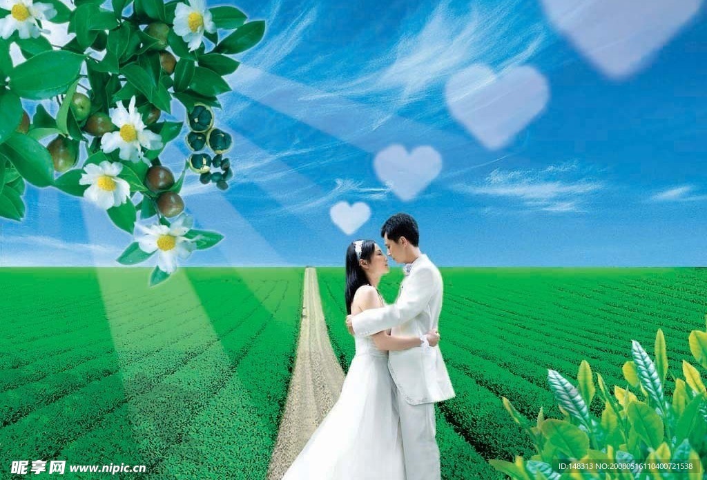 茶 茶园 人物 婚纱 浪漫 花 茶花 爱心 绿色 蓝天 爱情 阳光 道路 小路