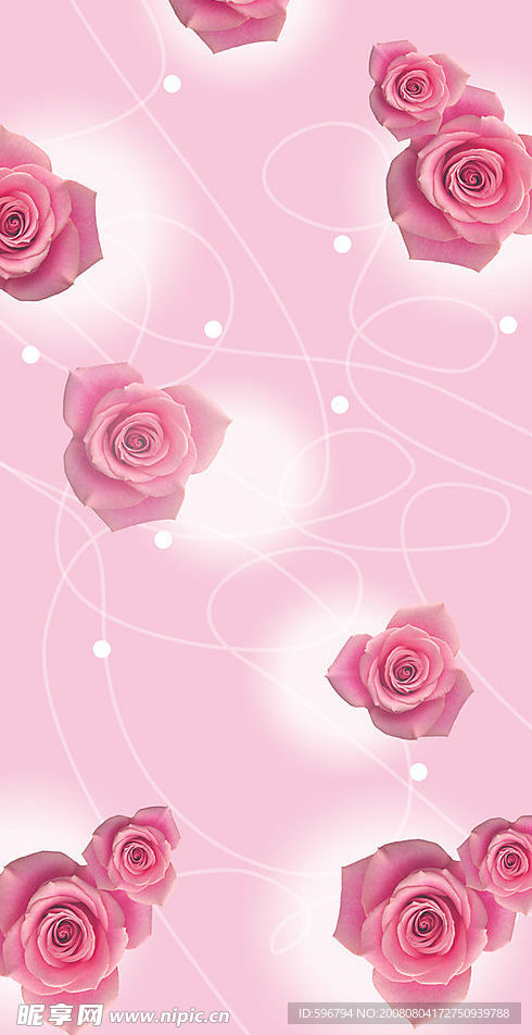 玫瑰背景