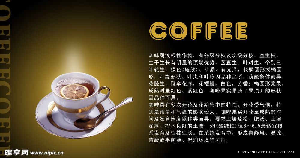 咖啡广告