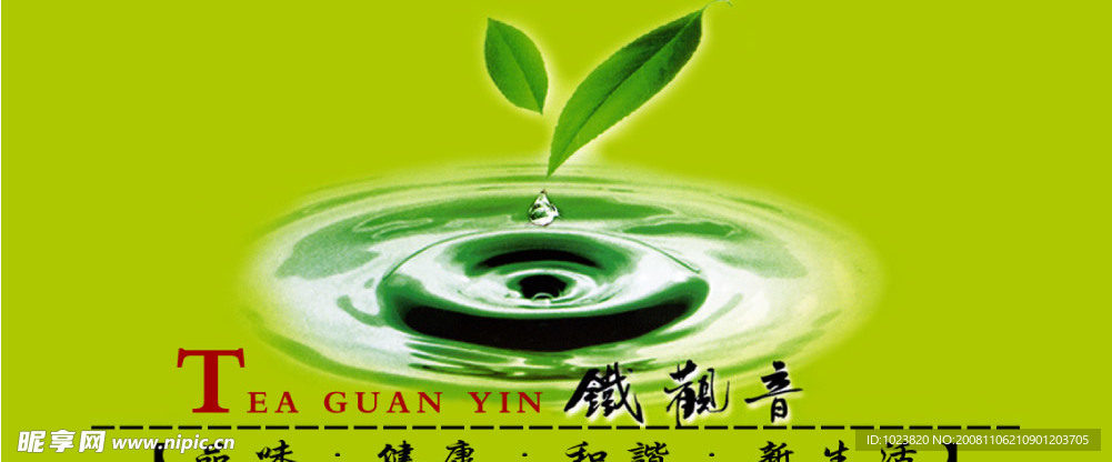 茶叶子水滴铁观音茶