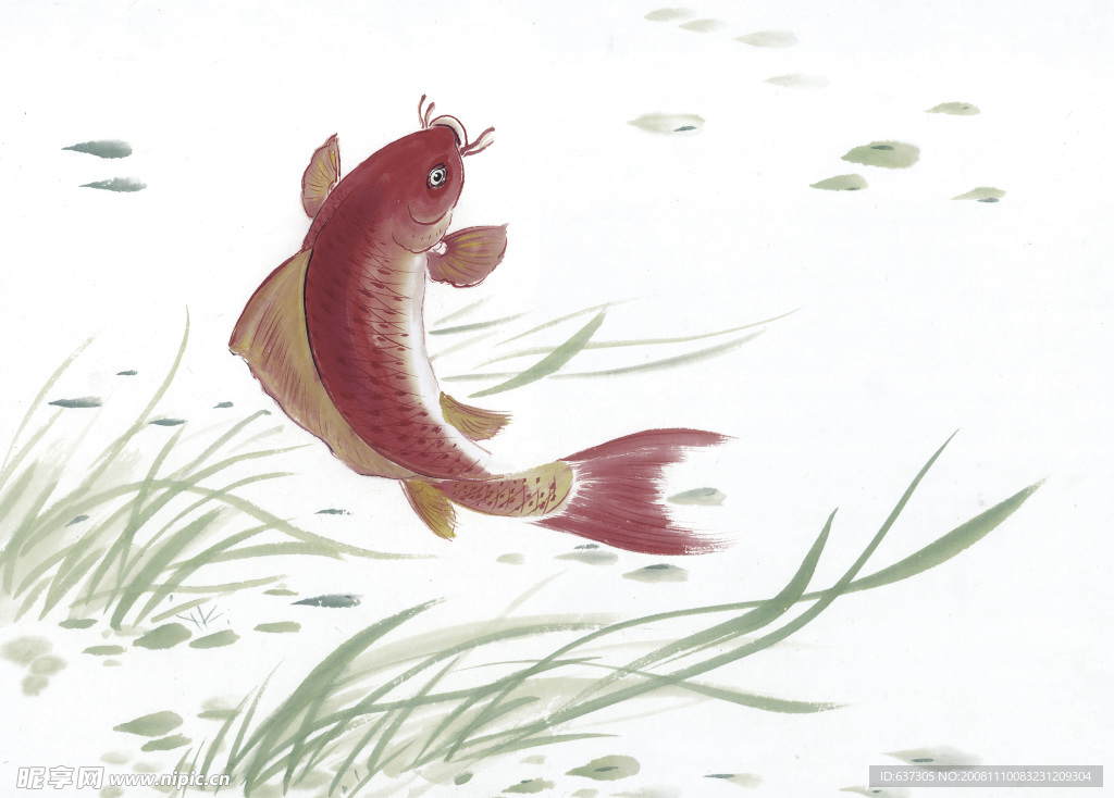 国画 鲤鱼跳龙门 红鲤鱼