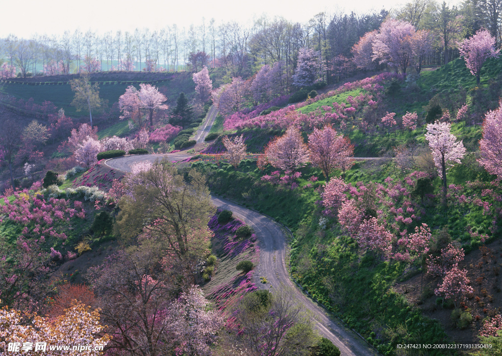 乡村风景