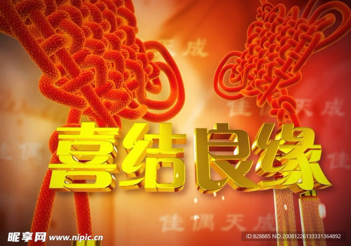 婚庆片头 视频素材