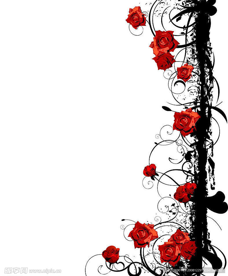 古典玫瑰花矢量图